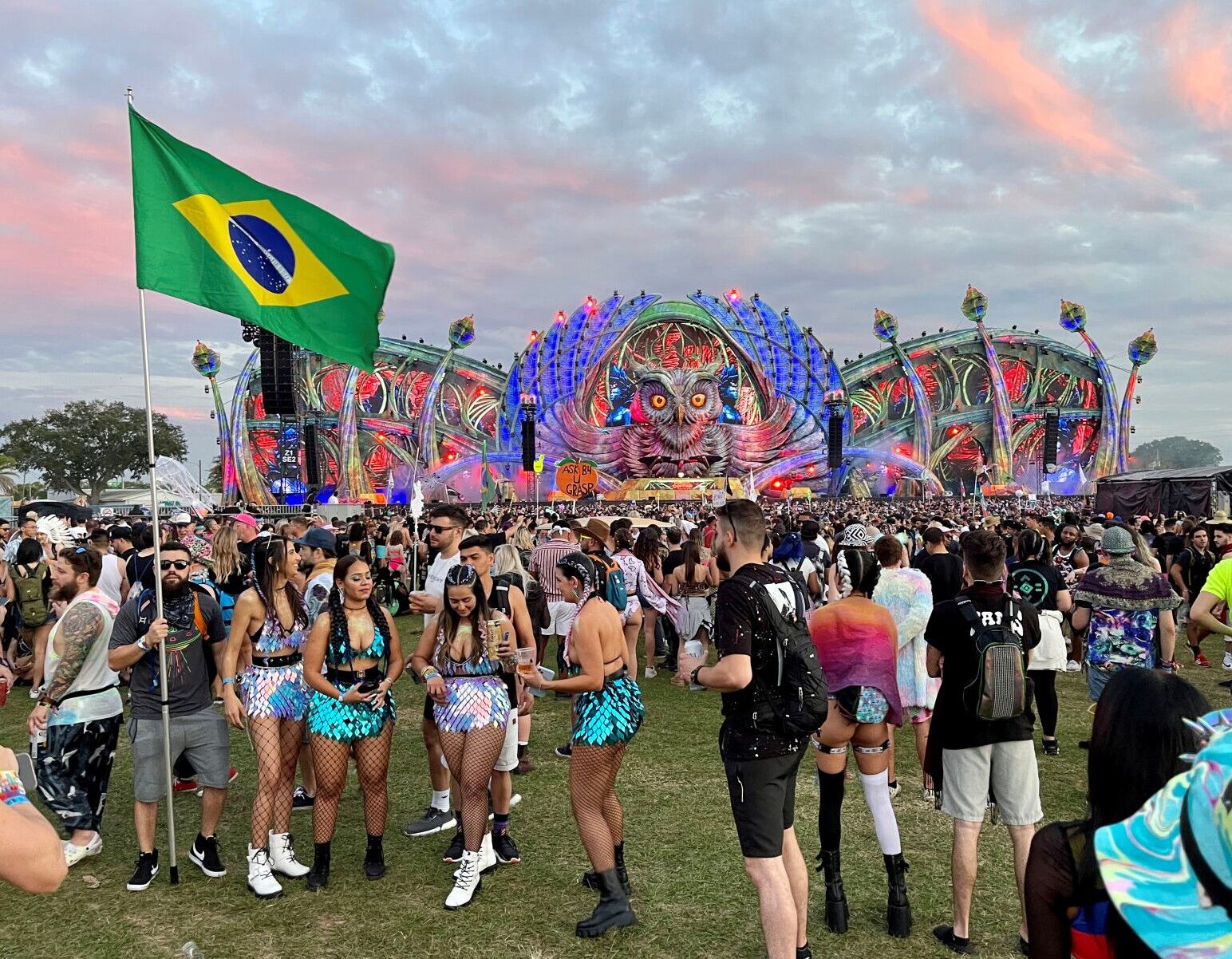 The immersive world of EDC